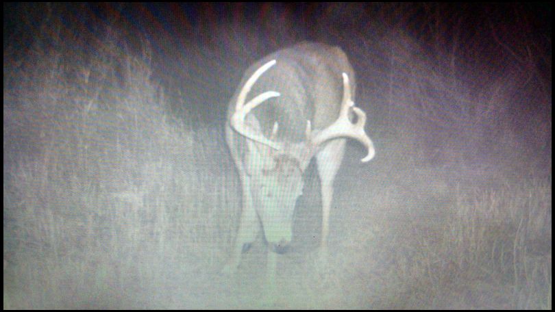sdbowhunter's MOBILE embedded Photo