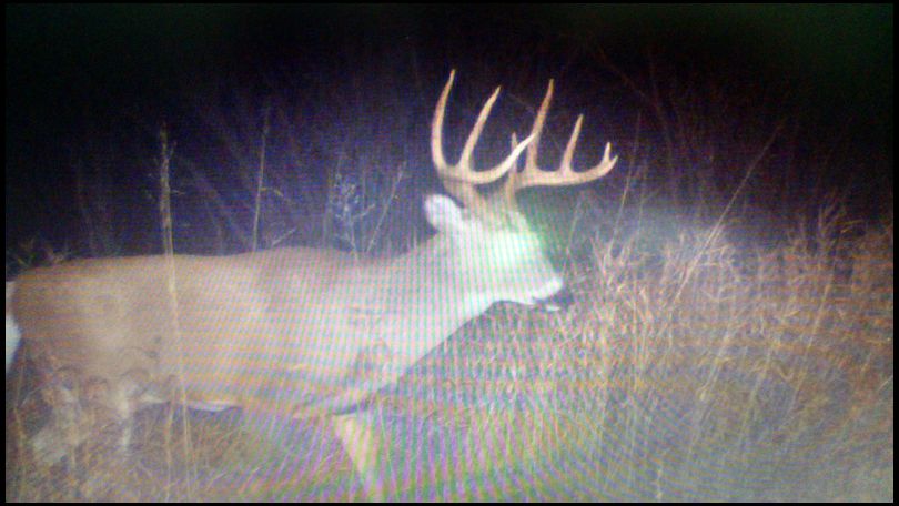 sdbowhunter's MOBILE embedded Photo