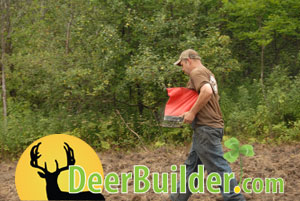 Growing Food Plots on DeerBuilder.com