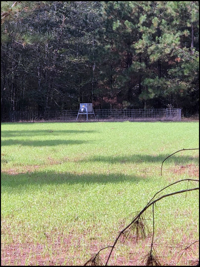 drycreek's MOBILE embedded Photo