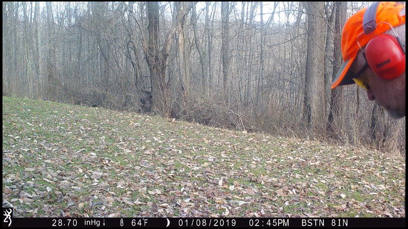 Stressless's DeerBuilder embedded Photo