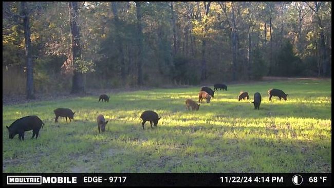 drycreek's MOBILE embedded Photo