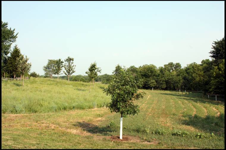 Habitat for Wildlife's MOBILE embedded Photo
