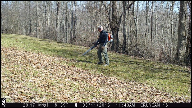 Stressless's DeerBuilder embedded Photo