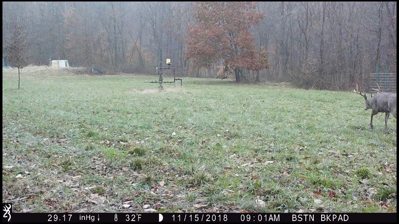 Stressless's DeerBuilder embedded Photo