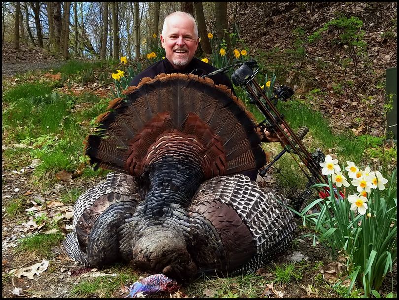 Stressless's DeerBuilder embedded Photo