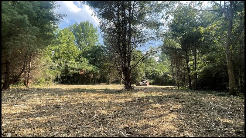 UPSTATE's DeerBuilder embedded Photo