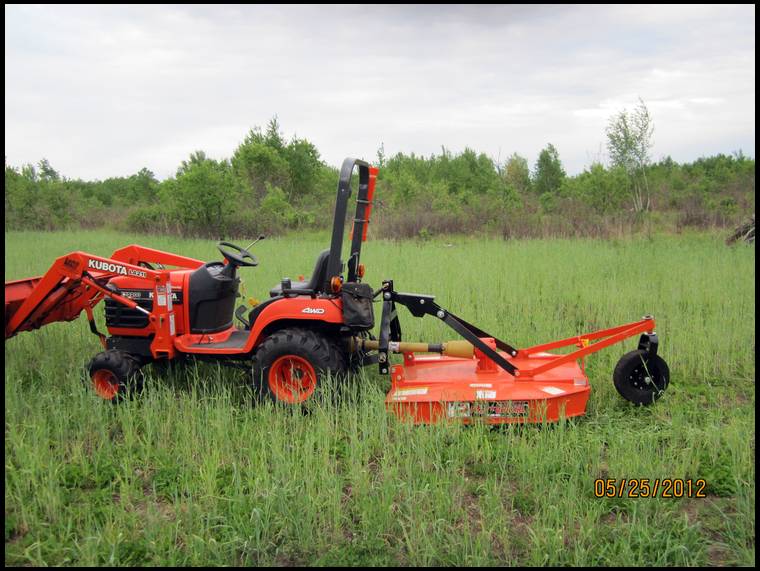 Swampview's MOBILE embedded Photo