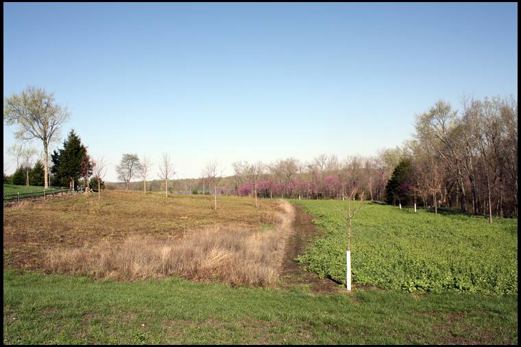 Habitat for Wildlife's MOBILE embedded Photo