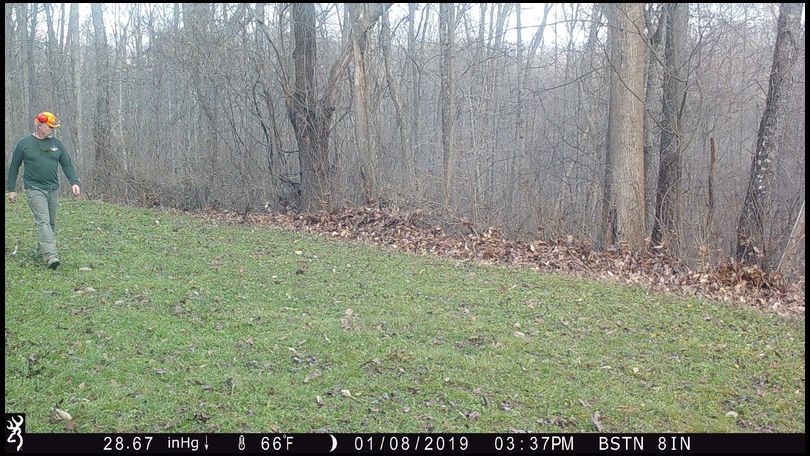 Stressless's DeerBuilder embedded Photo