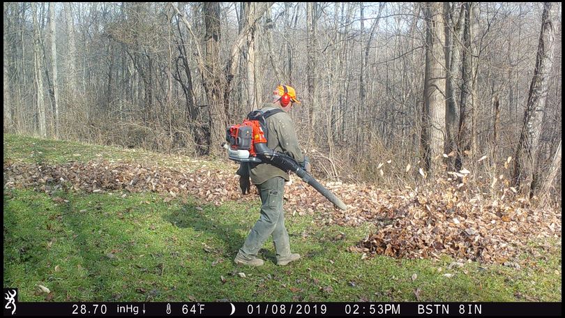 Stressless's DeerBuilder embedded Photo