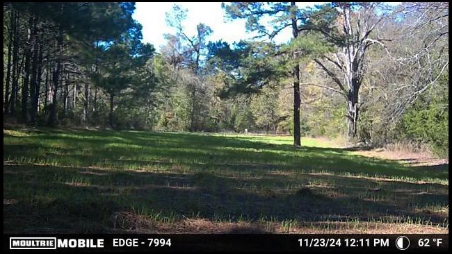 drycreek's MOBILE embedded Photo