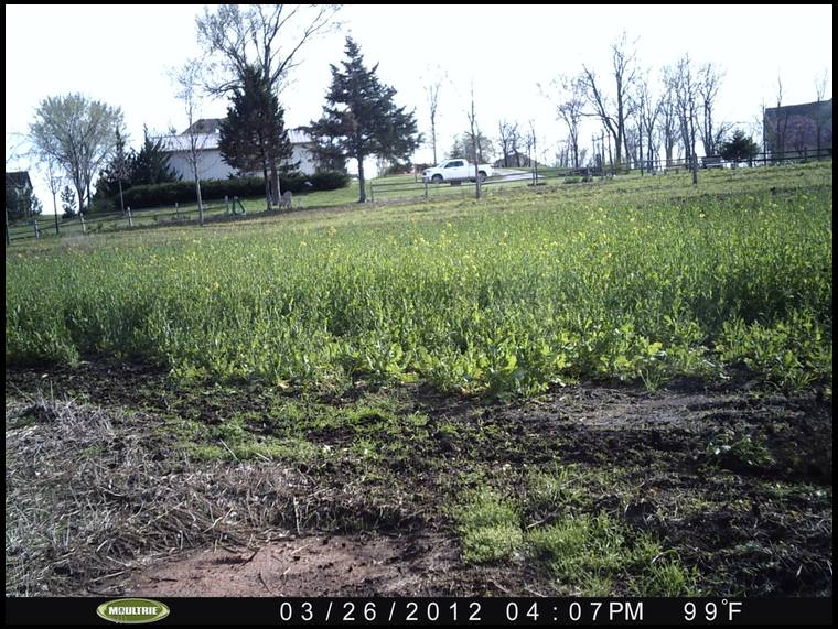 Habitat for Wildlife's MOBILE embedded Photo