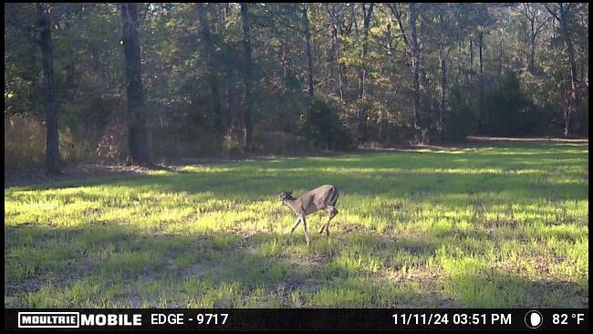 drycreek's MOBILE embedded Photo
