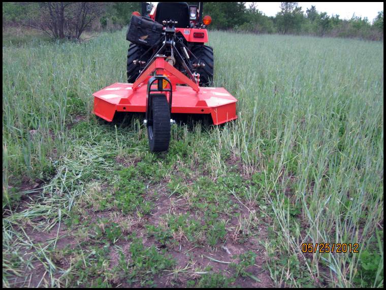 Swampview's MOBILE embedded Photo