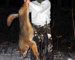 Time to kill the coyotes