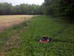 My 40 Acres!