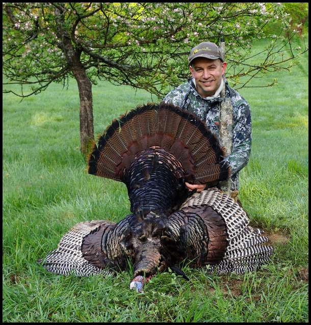This big Tom was shot Saturday morning between my plot 1 and plot 2 locations. I saw 10 gobblers that morning and heard another 10.