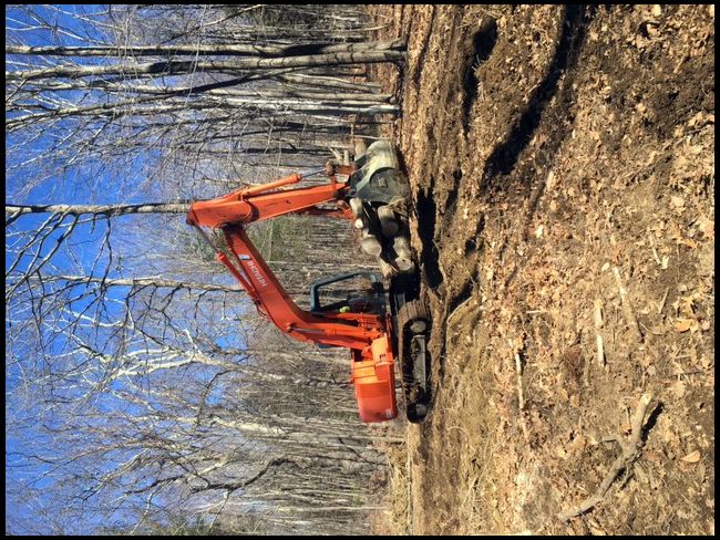 He also removes the lumber.