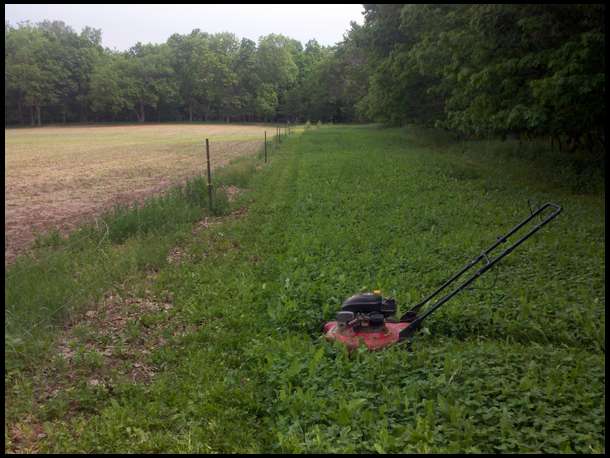 Clover Plot May 2011.
