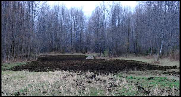 View of the finished food plot. See our next update to see how we fenced it using a new electric fence.