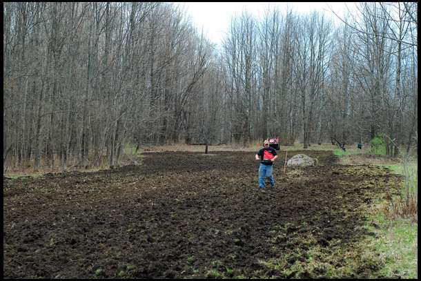 Once disking was complete, I used my hand-seeder to spread 100lbs of the pea, soybean and sunflower mixture.