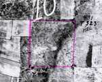 4 Pines foodplot project