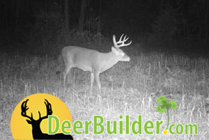 Growing Food Plots on DeerBuilder.com