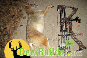 Growing Food Plots on DeerBuilder.com