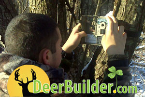 Growing Food Plots on DeerBuilder.com