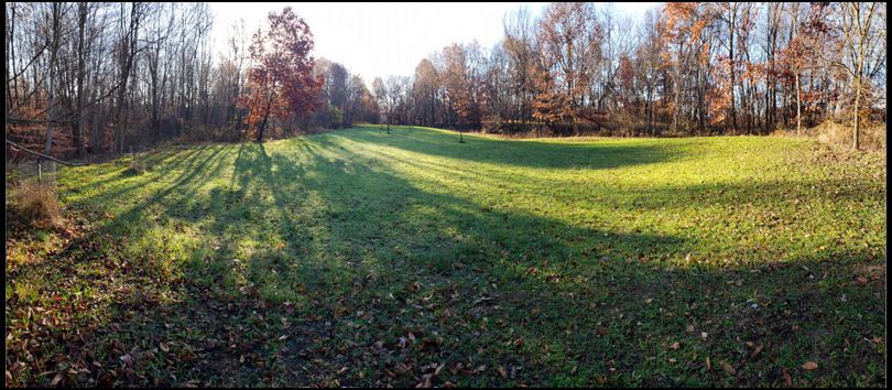 Winter Rye Question