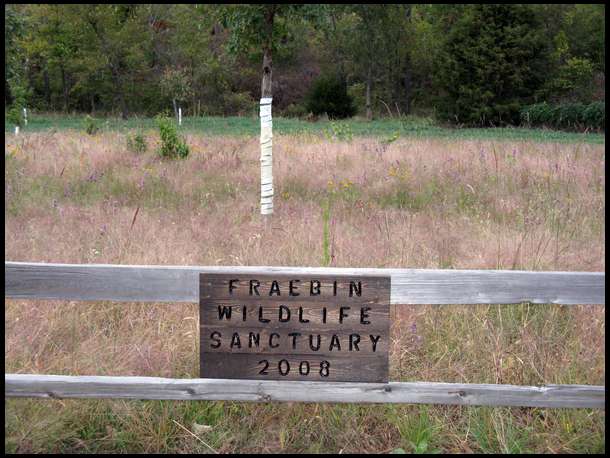 Fraebin Sanctuary project