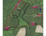 HERMAN food plot