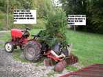 Area 1 food plot