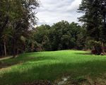 Fall Plots Doing Great 