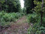 Preparing for fall food plots 2014