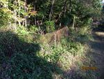 Fence A-Frame on edge of food plot