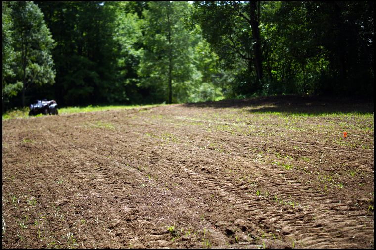 After a weekend with the bulldozer removing trees and over 70 boulders, the plot was ready to plant. 