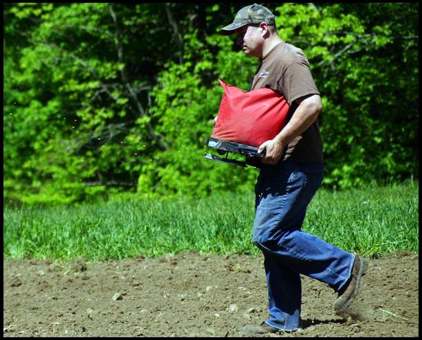 We are still hand-seeding our plots. Eventually we will need to get a drill or row planter. But for now, hand-broadcasting is our only option.