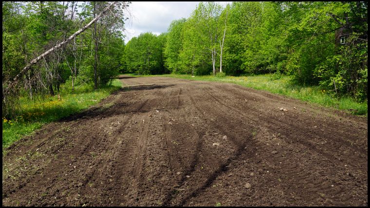 Field 2 is half the size and only 60% of this field is planted with beans. As soon as it emerges I will spray glyfo and then plant the 2nd half in something else. Not sure what at this point.