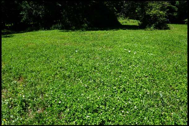 On a scale of 1 to 10 I would rate this Durana plot a 9.5. 