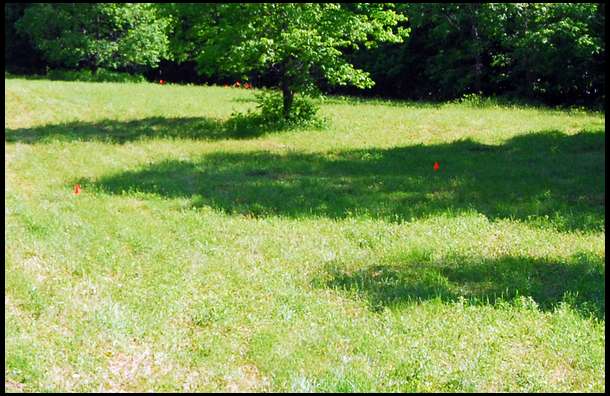 If you look close you will see all the flags over this field. We have a lot of work ahead of us to clear all of these stones.  