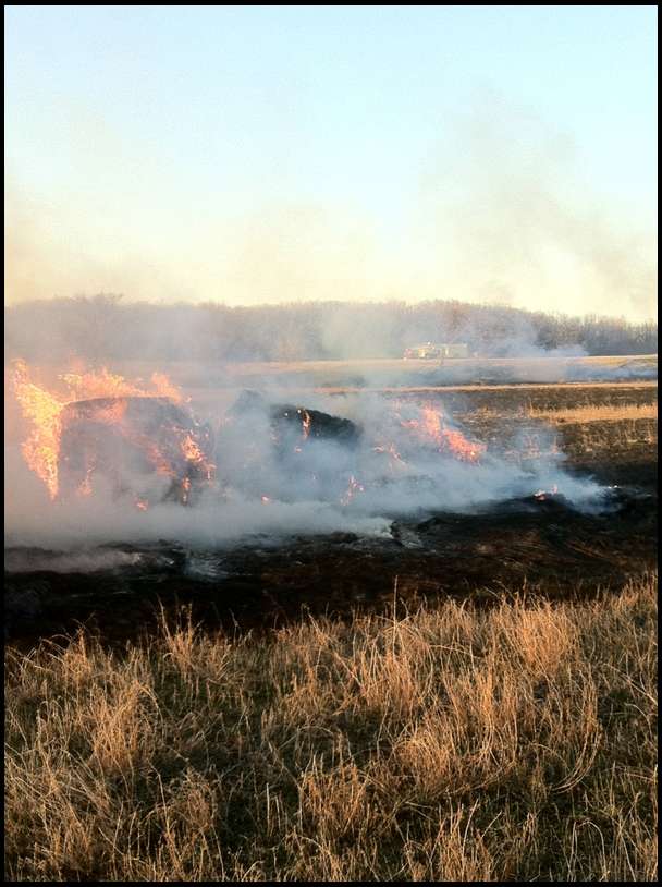 Some areas have been so badly neglected on this property we're burning off years of dead grass and undergrowth. This praticular day my dad started a fire that quickly got out of control due to very dry conditions and sudden gusts of winds. The fire department was called out and thankfully no damage to any trees or neighboring property. The fire easily cleared 5 acres of grass before being put out and no charges were laid! 