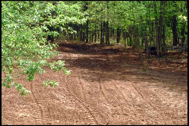 Here is the finished plot 6. Looks great, and by the time we closed the gate we were hit with our first raindrop. It rained all day today. Looking forward to seeing how well everything emerges - stay tuned!