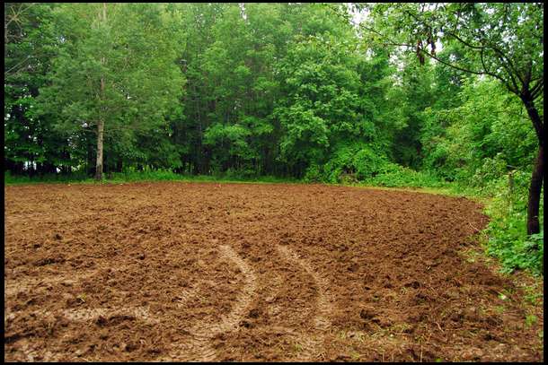 And the finished product. The ground has been prepped for our turnip plot which we will seed within a few weeks.