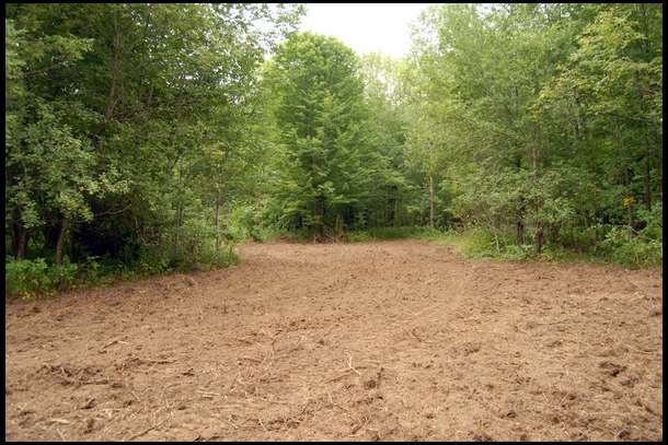 After all the prep work was complete. A pretty radical transformation of this area of the property.
