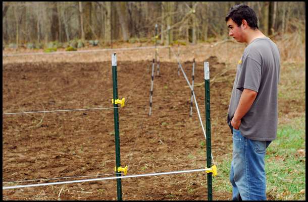 With the fence electrified, Matt makes one final inspection to make sure no brush was up against the wires which depletes the electrical current. The fence is complete!