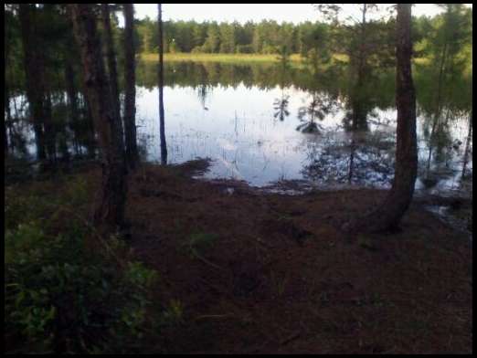 This marsh pond was bone dry this time last year