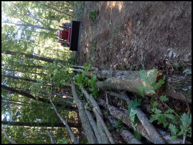 Stacking firewood.