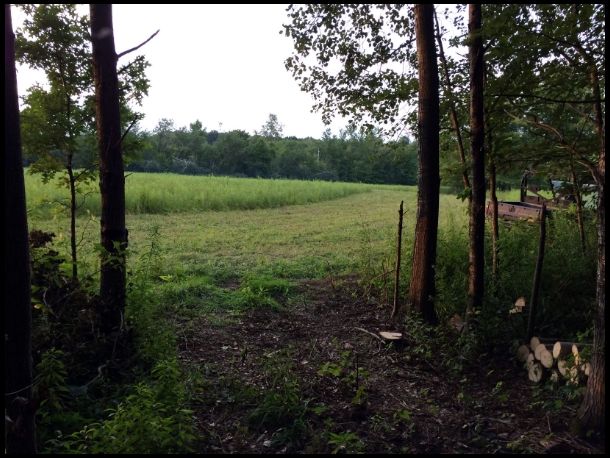 Plot looking out from the travel corridor road